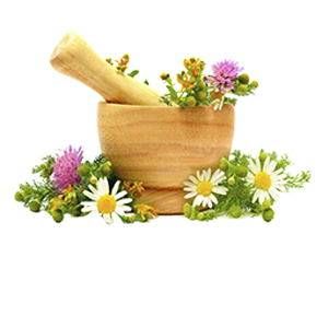 گیاهان دارویی