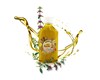 روغن بنه ( پسته کوهی )