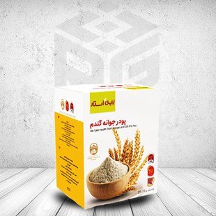 پودر جوانه گندم بین استار بسته 25 عددی